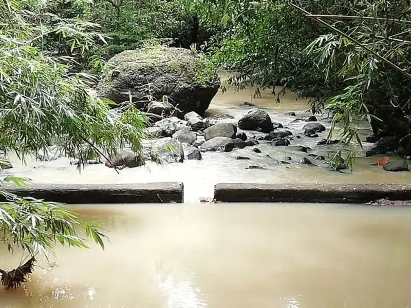 Tanah Zona Kuning view sungai dekat Kelecung Tabanan Bali - Bali in Bali