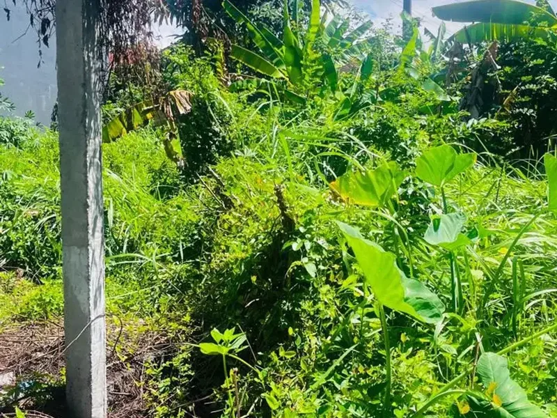 [DIJUAL] TANAH STRATEGIS DEKAT PANTAI MATAHARI TERBIT – COCOK UNTUK HUNIAN & INVESTASI - Real Estate in Bali
