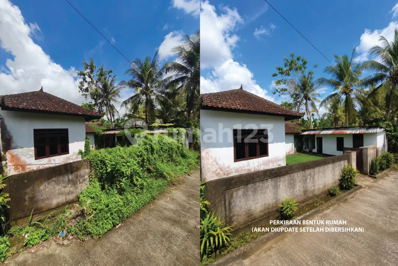 Rumah Murah LT 2 Are di Bawah Pasaran Hanya 500 Juta di Tabanan - Real Estate in Bali