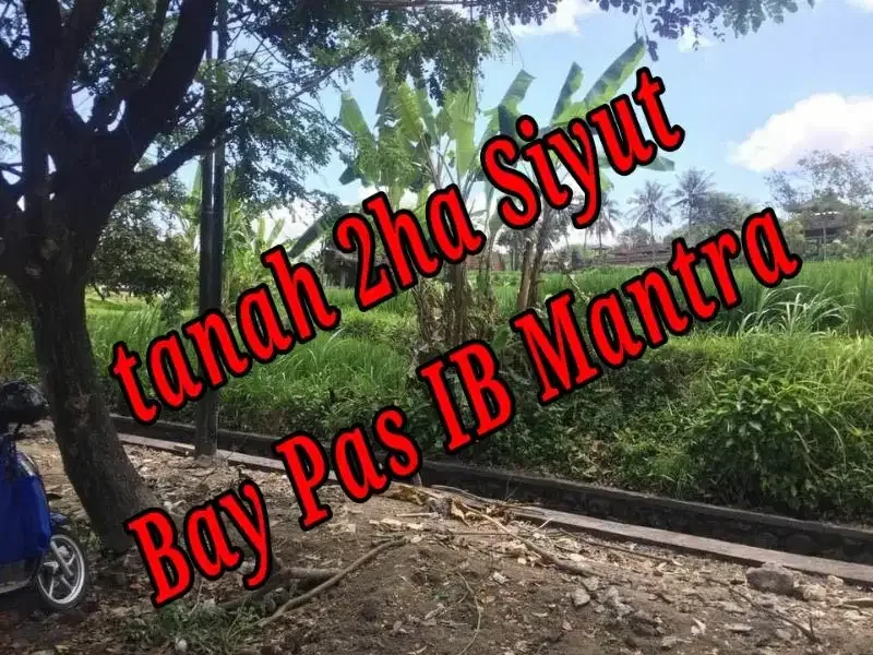 Dijual di Siyut Jln Bay Pas IB Mantra - Real Estate in Bali