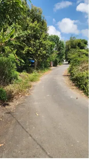 Tanah 31 Are di Kutuh - Real Estate in Bali