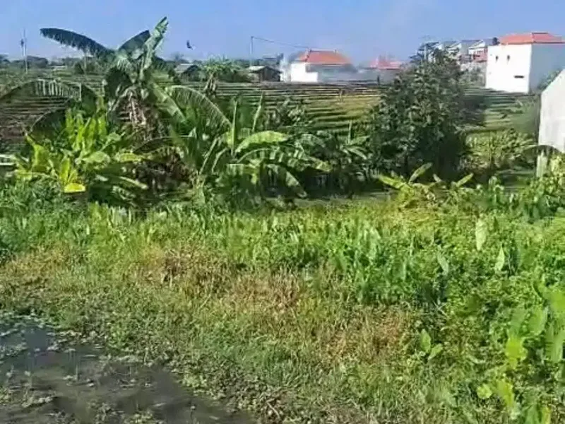 Tanah Kosong Siap Bangun Tibubeneng Canggu Kuta Utara - Bali in Bali
