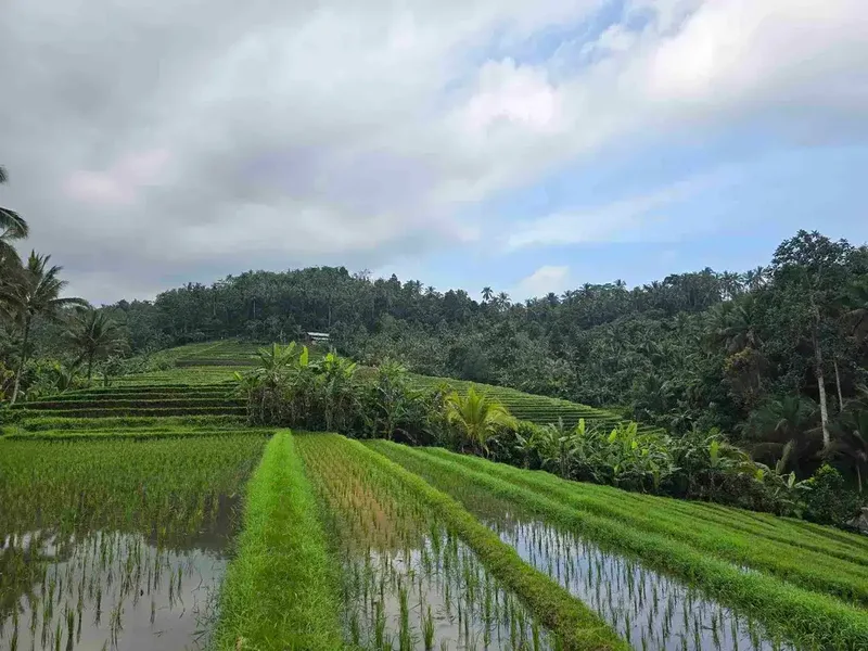 dijual tanah murah view cantik di tabanan bali - Real Estate in Bali
