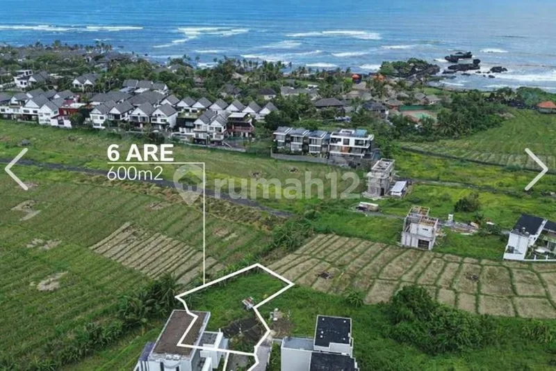 Tanah Murah di Cemagi , View Sawah Lt600m2 - Bali in Bali