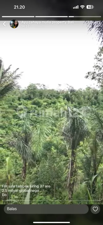 Tanah View Lembah Hutan Siap Bangun Harga Murah - Real Estate in Bali