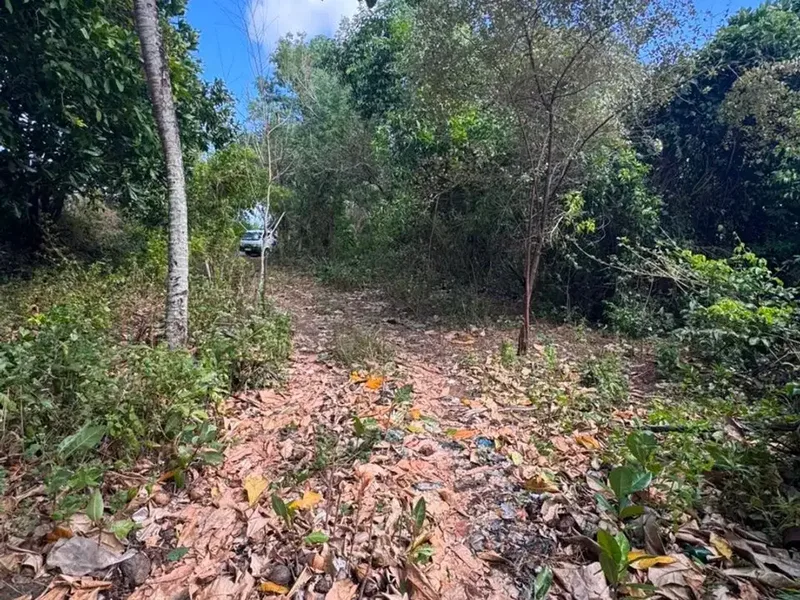 Premium Ocean View Land for Sale in Balangan, Bali – 9,250 m² Freehold Tourism Zone, Ideal for Villa, Resort & Hotel Development - Real Estate in Bali