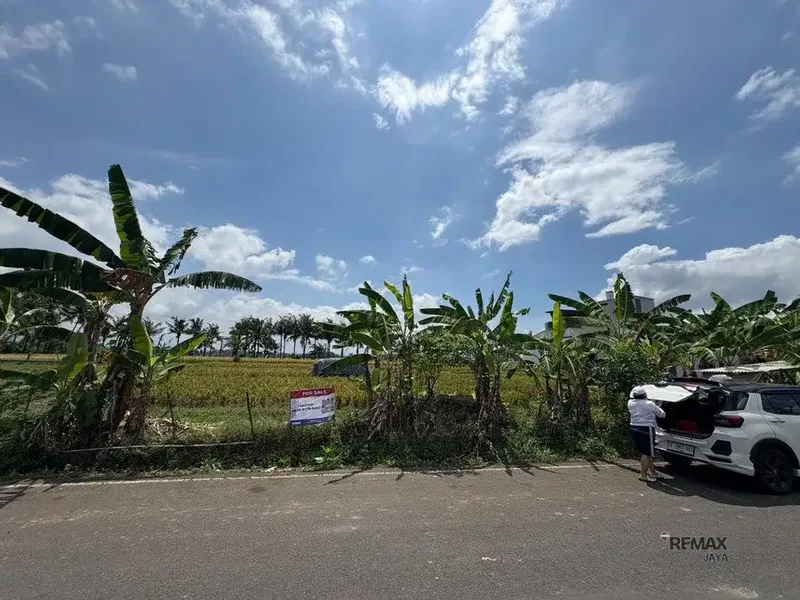 Tanah Strategis 6,31 Are Dijual di Kedungu - Cocok untuk Investasi - Real Estate in Bali
