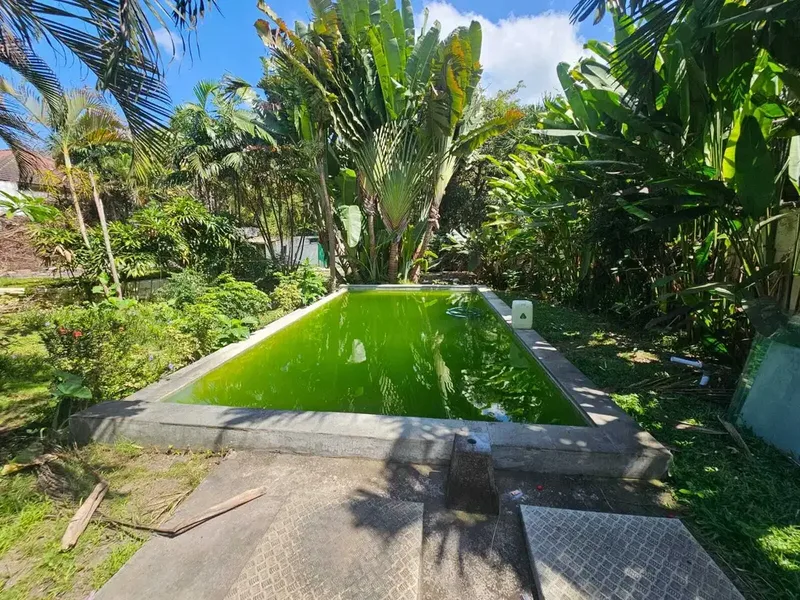 disewakan tanah premium canggu - Real Estate in Bali