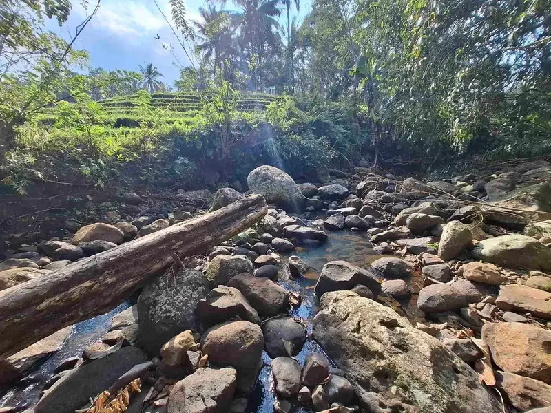 Tanah kebun murah dan strategis los sungai jernih berbatu mendapatkan view sawah di bibir sungai - Bali in Bali