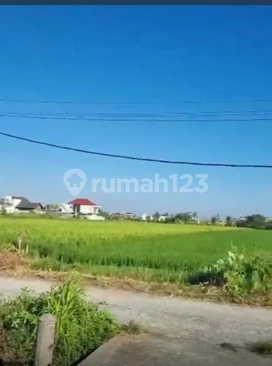 Dijual Tanah 500 M² Kedungu Tabanan SHM, View Laut, Cocok Villa - Bali in Bali