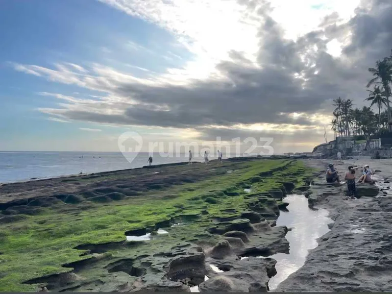 UNBLOCKED OCEAN VIEW Tanah Beach Front Pantai Mengening Cemagi Bali 100 Are Freehold - Bali in Bali