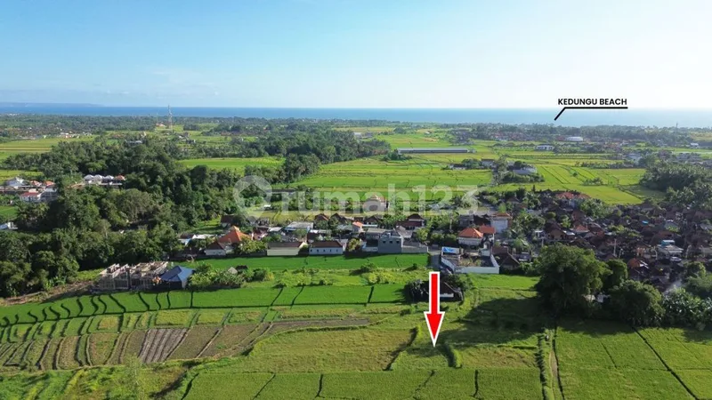 Tanah di Jalan Pantai Kedungu, Desa Belalang Tabanan 2236 SHM M² - Bali in Bali