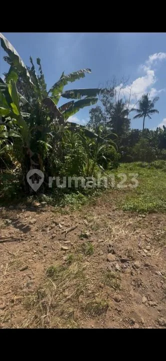 Tanah 5 Are Termurah di Mas Ubud Zona Kuning - Real Estate in Bali