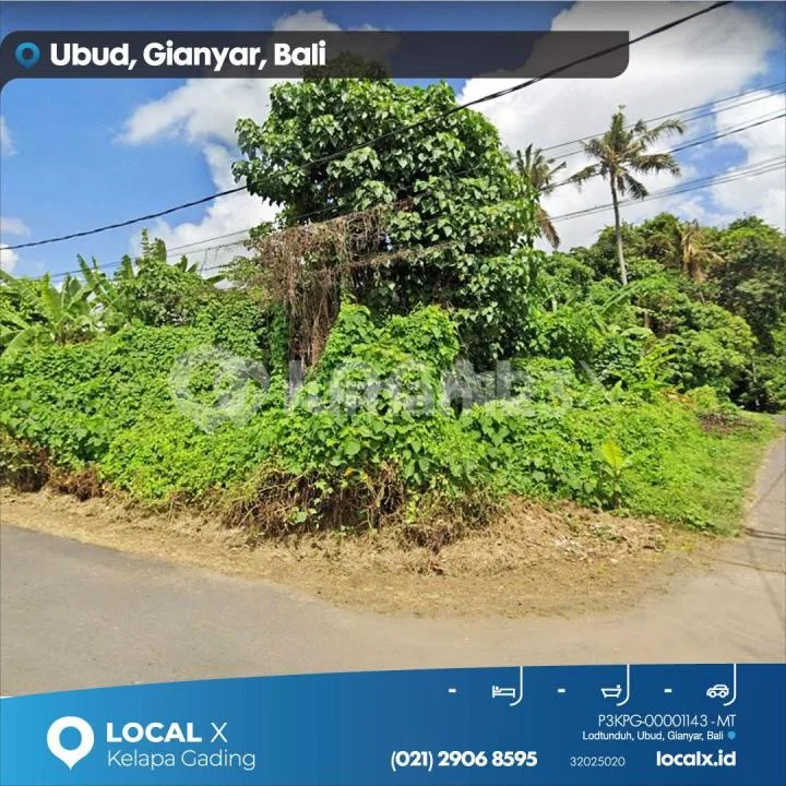 Tanah Kavling Lodtunduh, Ubud, Gianyar, Bali - Real Estate in Bali