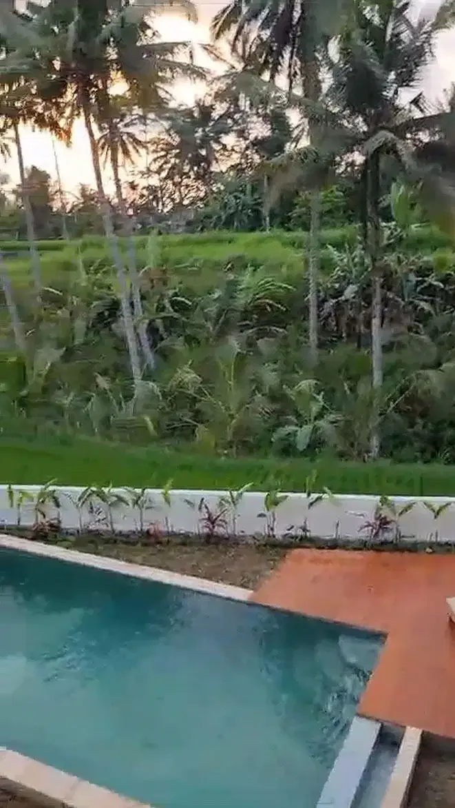 Villa 3 Kamar Tidur di Pejeng Gianyar Dengan View Sawah - Bali in Bali
