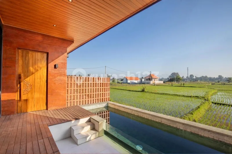 Price Reduced - 2 Luxury Villas In Ubud - Real Estate in Bali