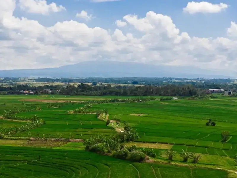 TANAH ZONA PINK KERAMBITAN TIBUBIU TABANAN - Bali in Bali