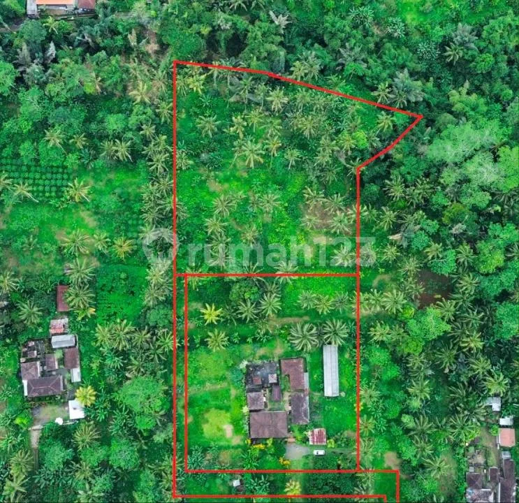 Dijual Tanah Murah - Batas Tampaksiring & Tegallalang, Bali - Real Estate in Bali