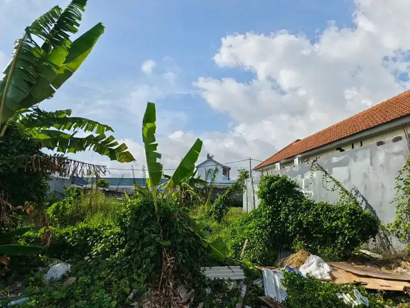HOT DEAL LEASEHOLD! 4 ARE LAND SESEH – RICE FIELD VIEW, 5 MIN TO BEACH - Real Estate in Bali