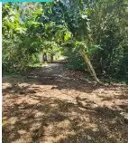Land for lease in Pecatu - Real Estate in Bali