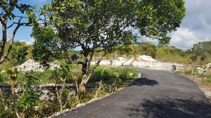 Proyek 11 Klumpu Investment Land - Real Estate in Bali