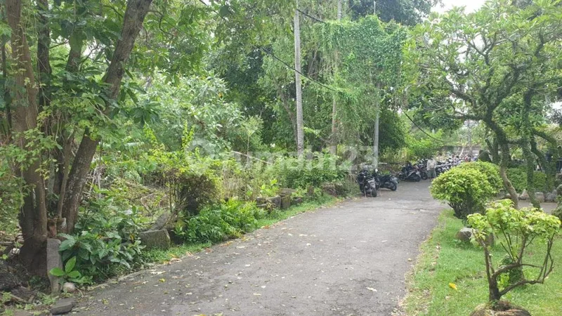 Tanah Jual Lokasi Canggu - Real Estate in Bali