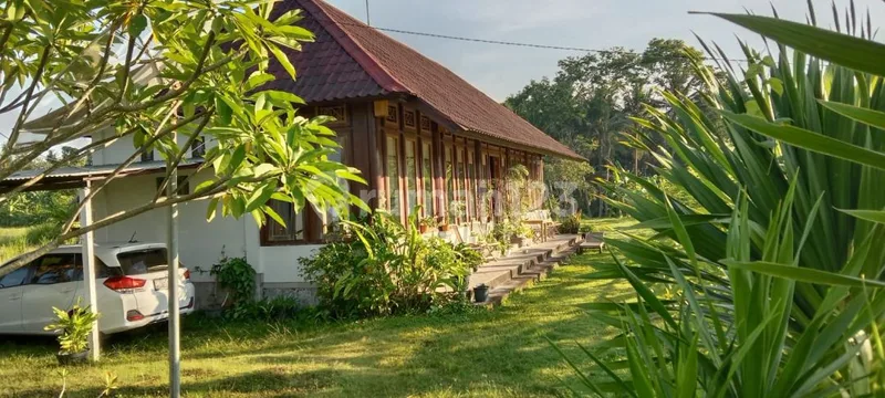 Dijual Bungalow Luas 15 Are View Gunung dan Sawah di Jl Raya Perasi Pertima Karangasem Bali - Real Estate in Bali
