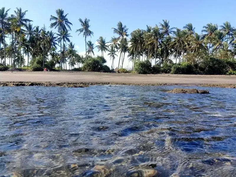 Beach front land di Perancak 30 menit ke pantai Medewi Bali - Bali in Bali