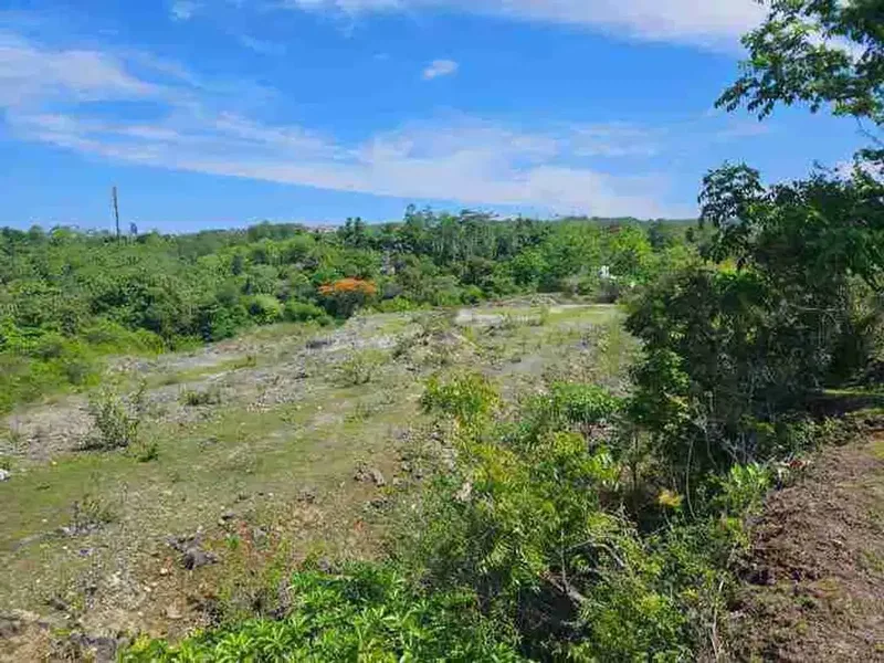 dijual tanah 2,05 hektar IDR 500 juta per are  kawasan pantai balangan jimbaran badung bali - Bali in Bali