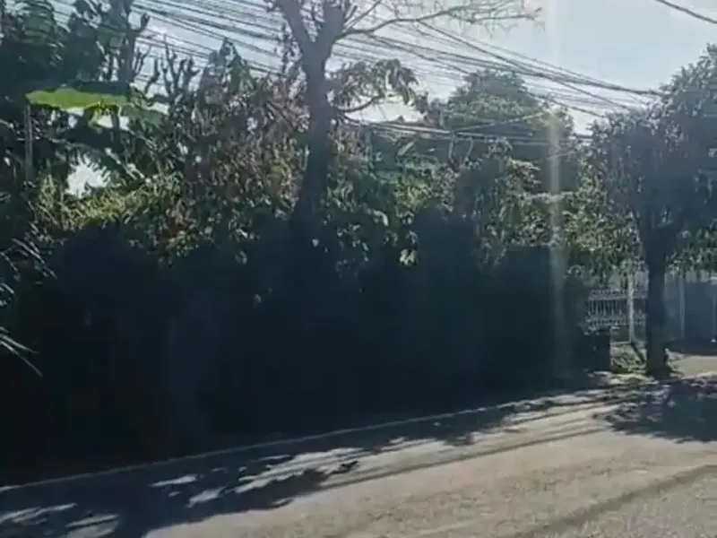 JUAL TANAH STRATEGIS DI JALAN UTAMA HAYAM WURUK, RENON DENPASAR - Real Estate in Bali