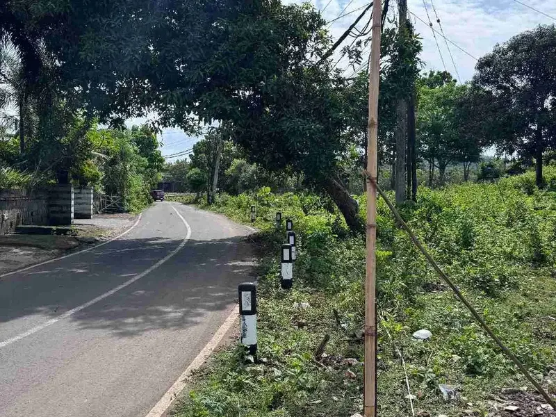 Di sewa kan tanah luas global 10.000m² yang terletak di kawasan Jl. pantai Balangan - Real Estate in Bali