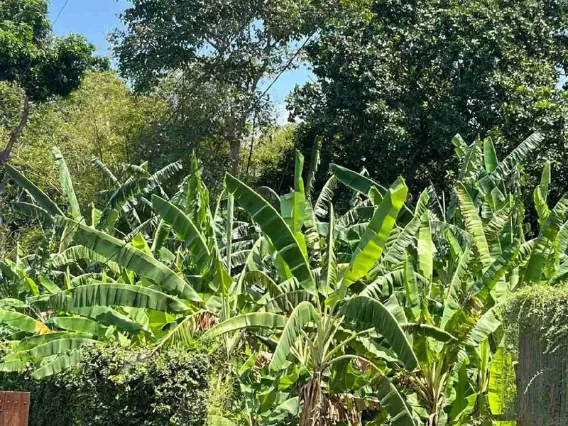 Tanah untuk di jual - Bali in Bali