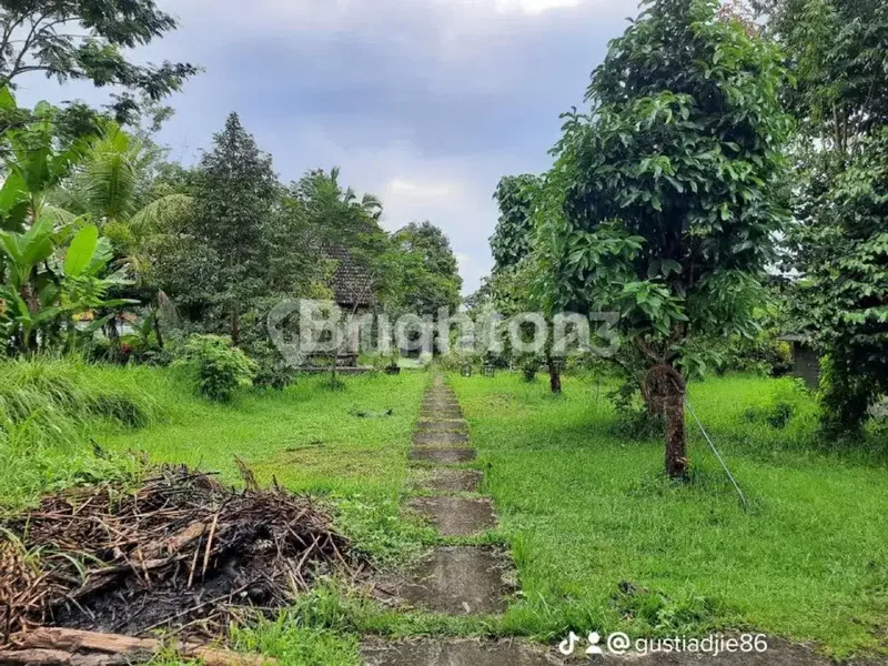 TANAH  2850 M TABANAN PENEBEL BALI  STRATEGIS DEKAT WISATATABANAN BEDUGUL - Bali in Bali