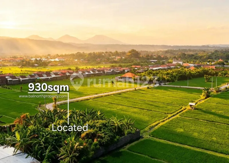 Exclusive Land For Sale In Lovina Area North Bali - Real Estate in Bali