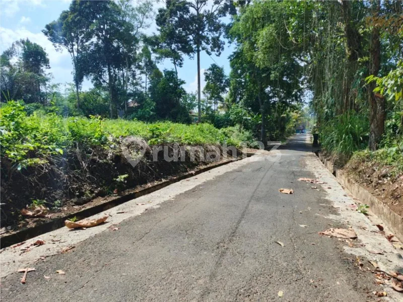 Dijual Lahan Murah 45 Are Sembung Mengwi Badung - Bali in Bali