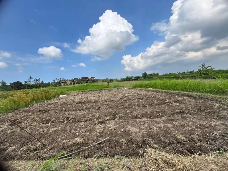 Dijual Tanah Ubud 350 m2 sangat strategis View Sawah Aktif - Real Estate in Bali