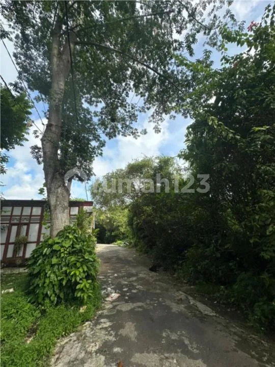 Tanah 5 Are Pecatu Kuta Selatan - Bali in Bali