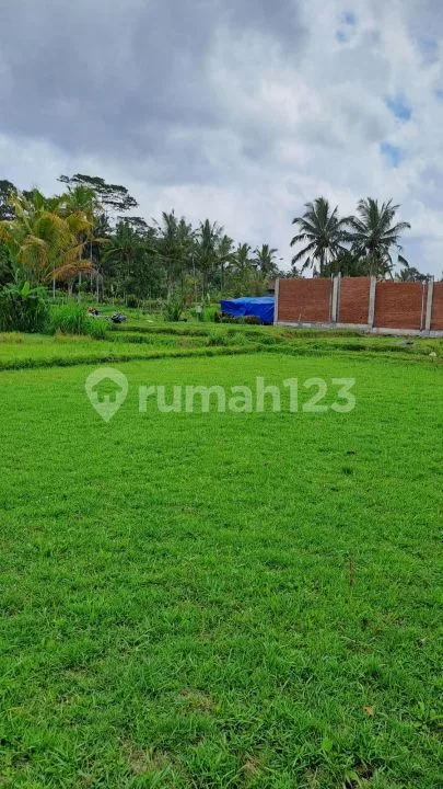 Jual tanah ubud payangan - Real Estate in Bali