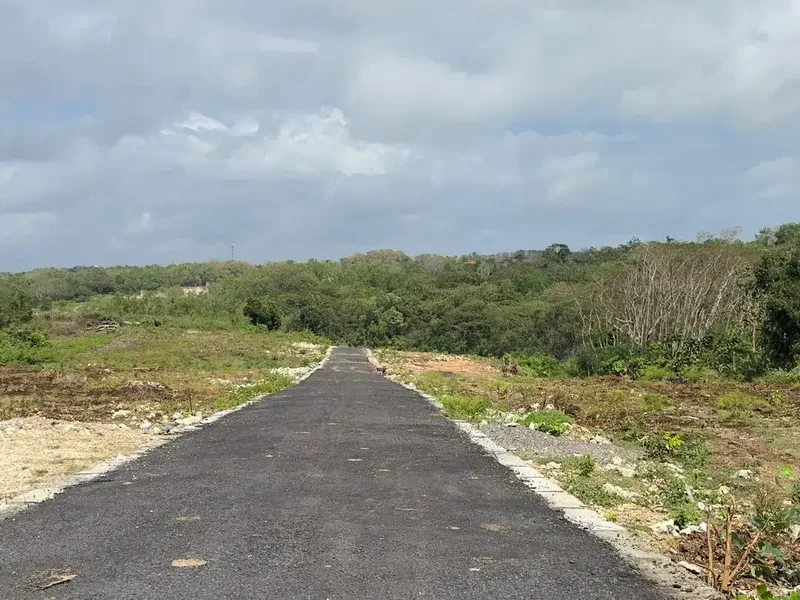 Dijual Tanah 250m2 Jungle View Zona Pariwisata Nusa Dua Bali - Bali in Bali
