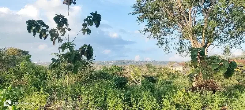 tanah Kawasan hotel Ayana Jimbaran - Real Estate in Bali