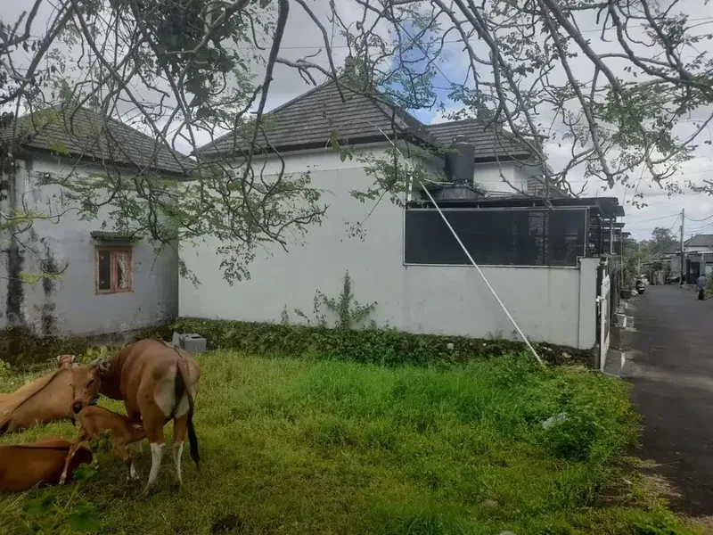 TANAH KOSONG DI SEMPIDI MENGWI DEKAT TAMAN PUSPEM BADUNG - Real Estate in Bali