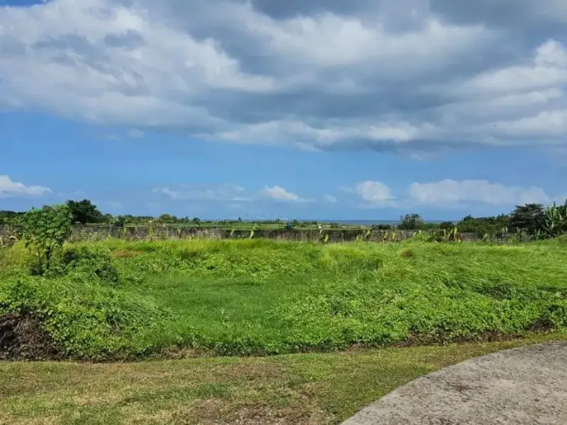TANAH DI KEDUNGU TABANAN - Real Estate in Bali