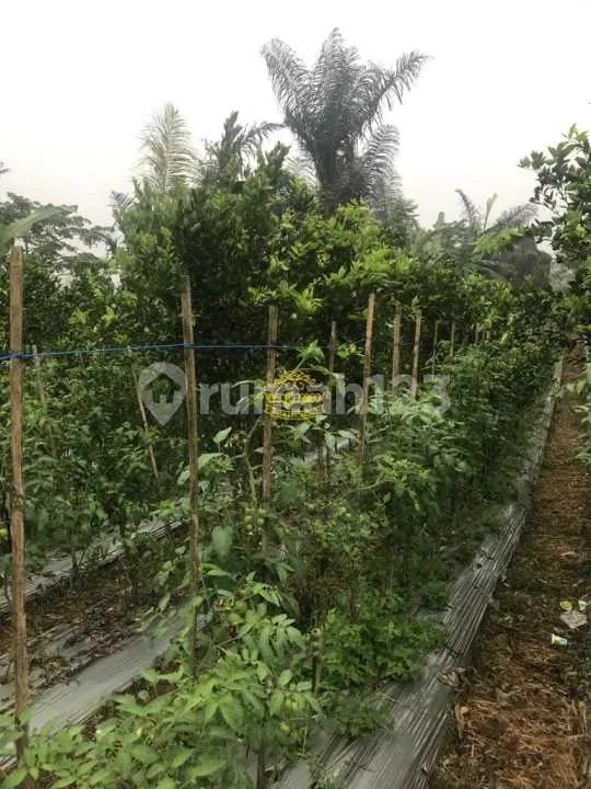 Tanah Jual Lokasi Belok Sidan - Bali in Bali