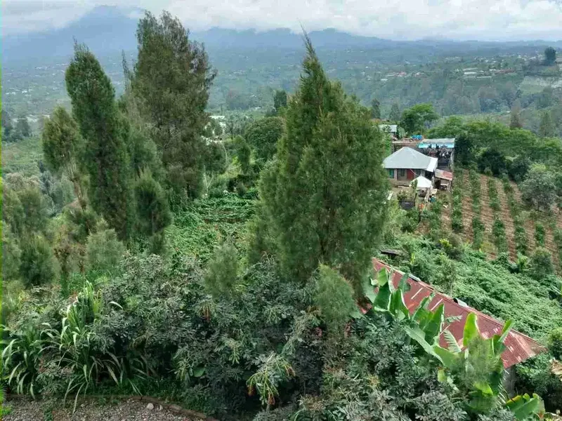 Kebun View Lembah di Kintamani Bangli Bali - Real Estate in Bali