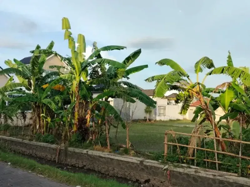 TANAH PREMIUM DAN STRATEGIS DI AREA RENON DENPASAR - Real Estate in Bali