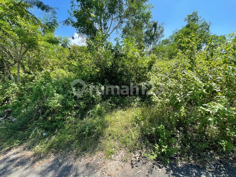 Dijual Tanah Luas 20078 M2 yang Berlokasi di Gayangsari Kutuh - Bali in Bali