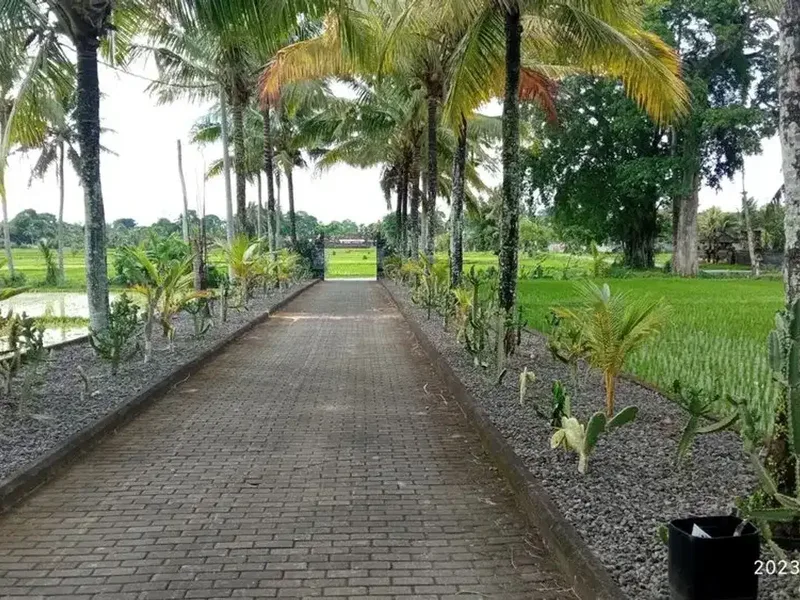 Tanah Kavling Luas Siap Bangun di Lokasi Strategis - Bali in Bali