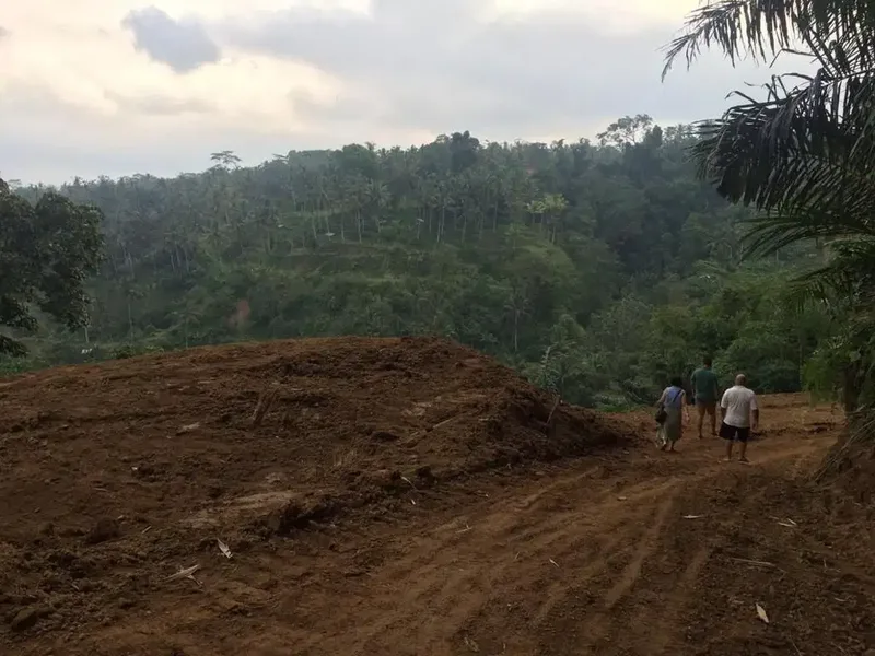 Dijual Tanah 38 are Daerah Tegalalang - Real Estate in Bali