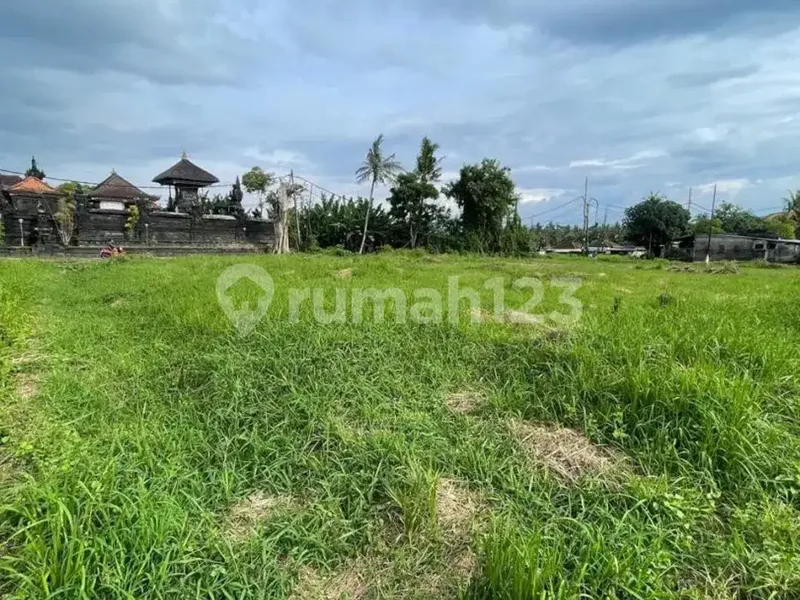Tanah Kavling Strategis 94M² Siap Bangun Bongan Tabanan, Hadap Barat, SHM, Rp 250 Juta - Real Estate in Bali