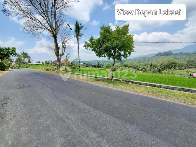 Dijual Tanah 76,85 Are View Gunung dan Sawah Dekat Jembatan Tukad Bangkung Petang - Bali in Bali